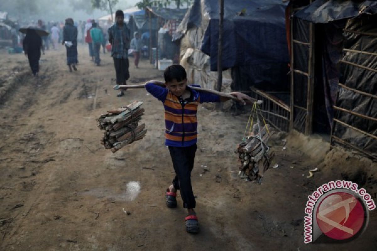 Gajah injak dua orang hingga tewas di Kamp Rohingya, Bangladesh