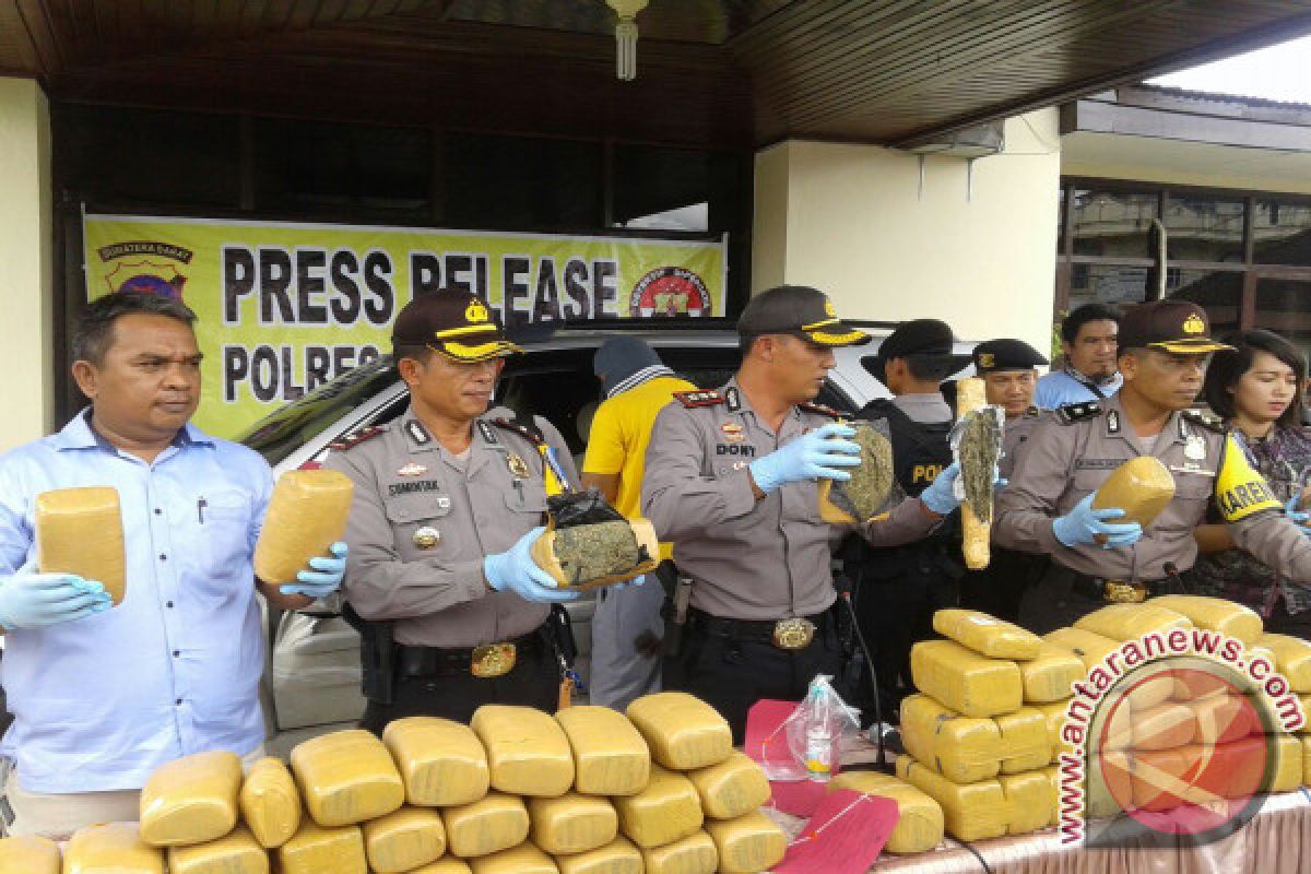 Polres Solok Kota Amankan 90 Kilogram Ganja