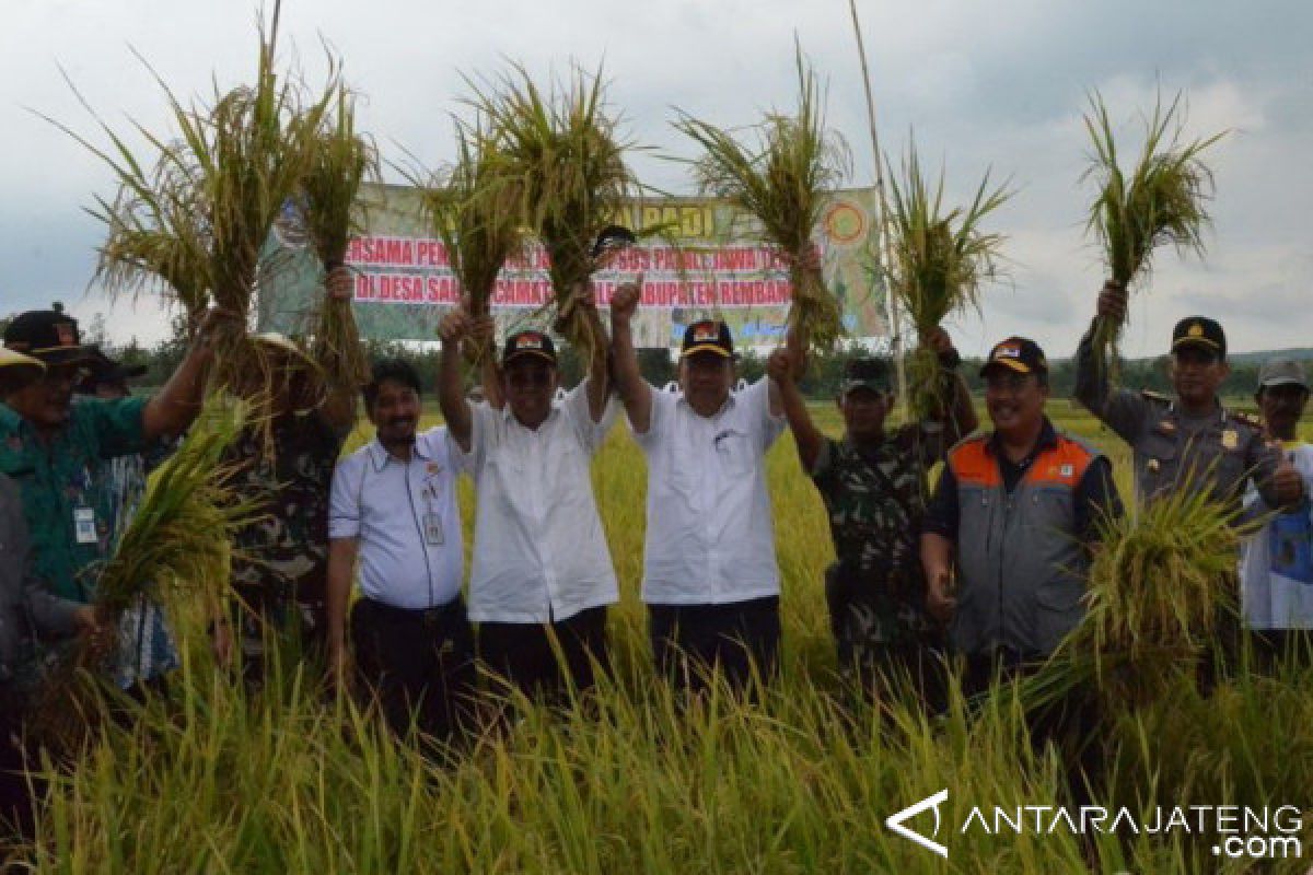 Pemerintah pastikan stok beras nasional aman (VIDEO)