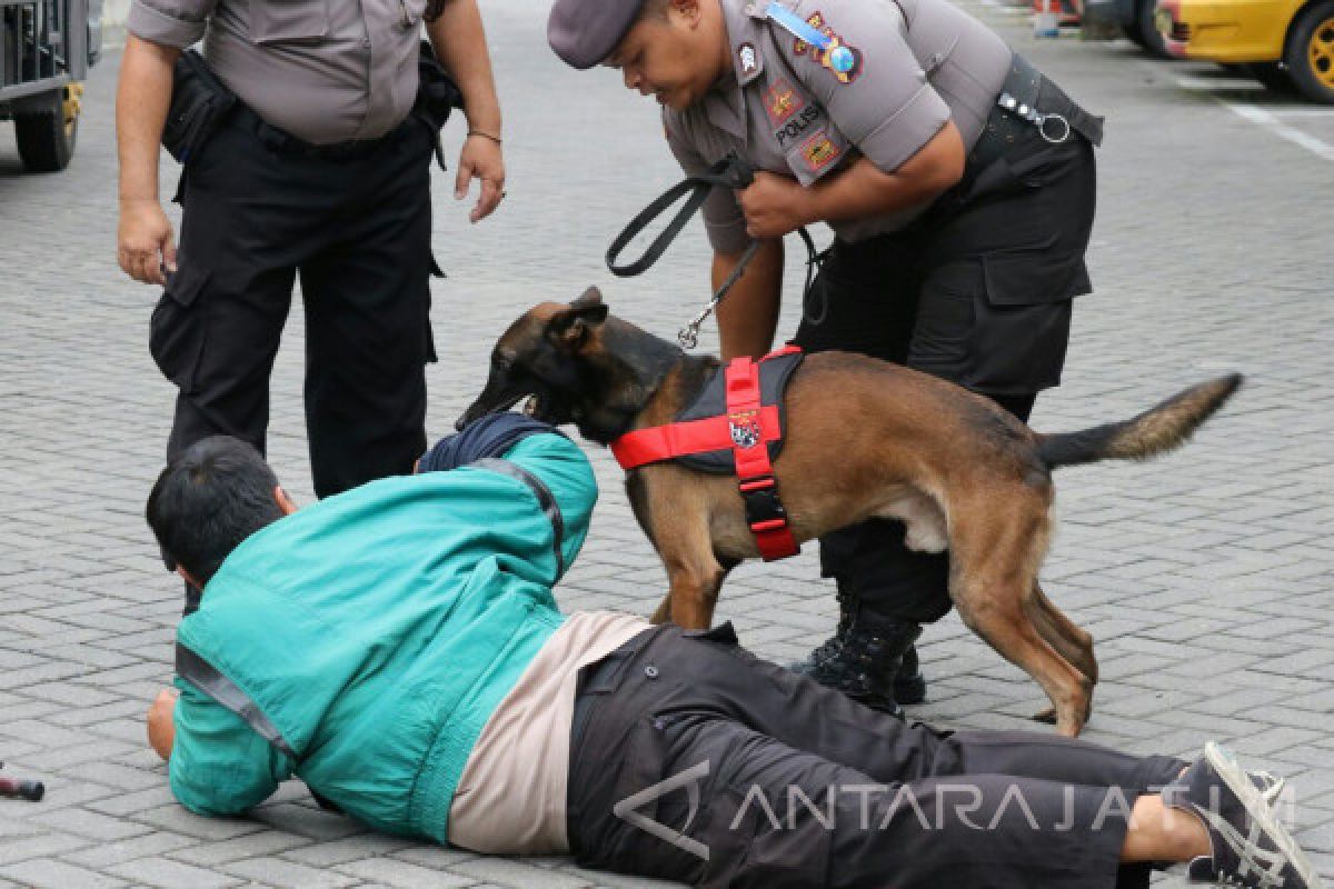 Anjing Polisi Berperan Amankan Tahun Baru