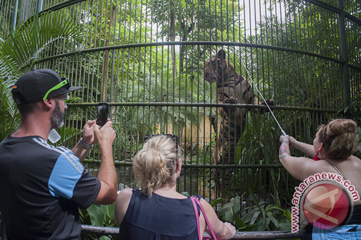 Semarakkan lebaran, Bali Zoo hadirkan wahana anak