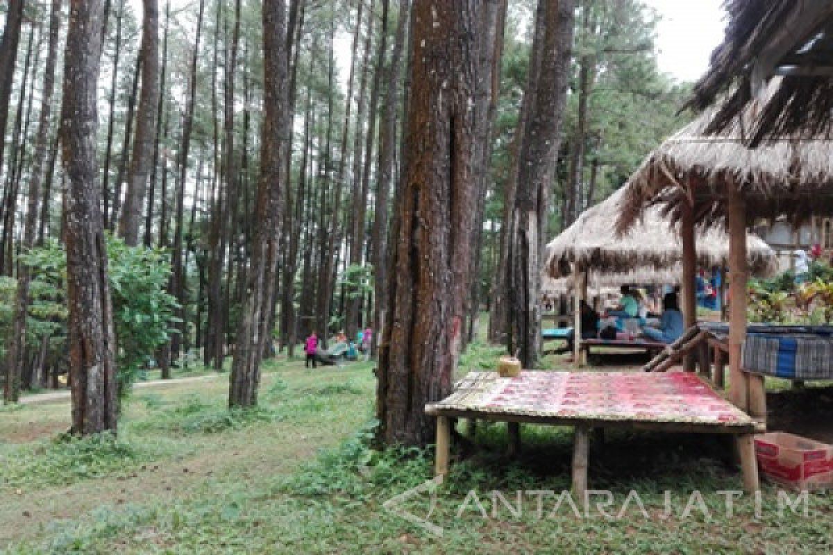 Kunjungan Hutan Wisata Nongko Ijo Madiun Meningkat