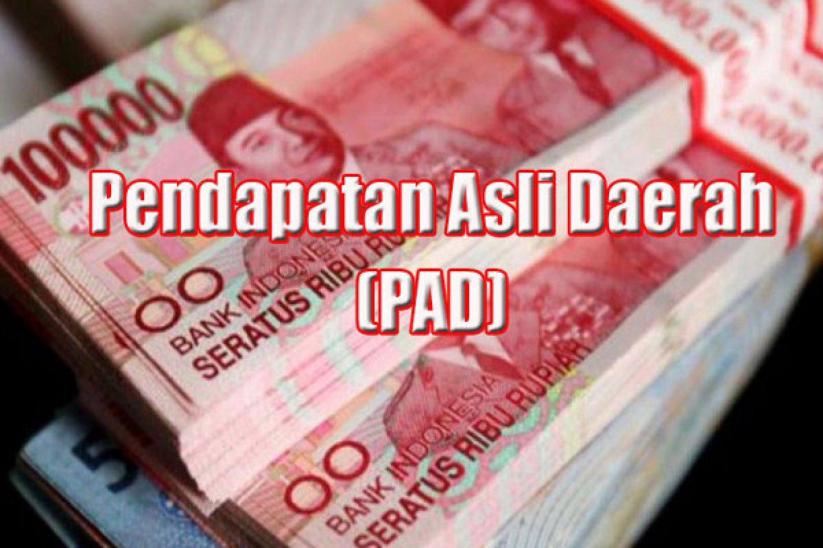 PAD Kota Palangka Raya masih rendah