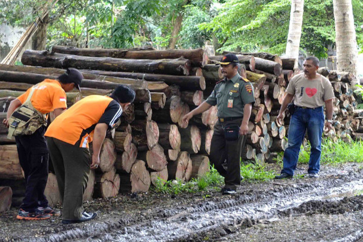 Rp1,3 Miliar Kerugian Negara Akibat Ilegal Logging di Perhutani Jember (Video)