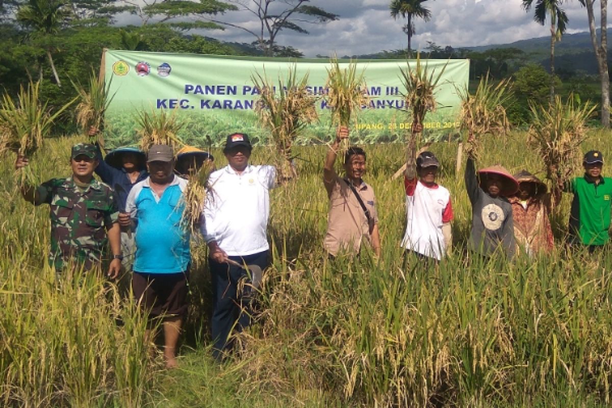 Bulog Kedu menyerap 438,8 ton beras petani