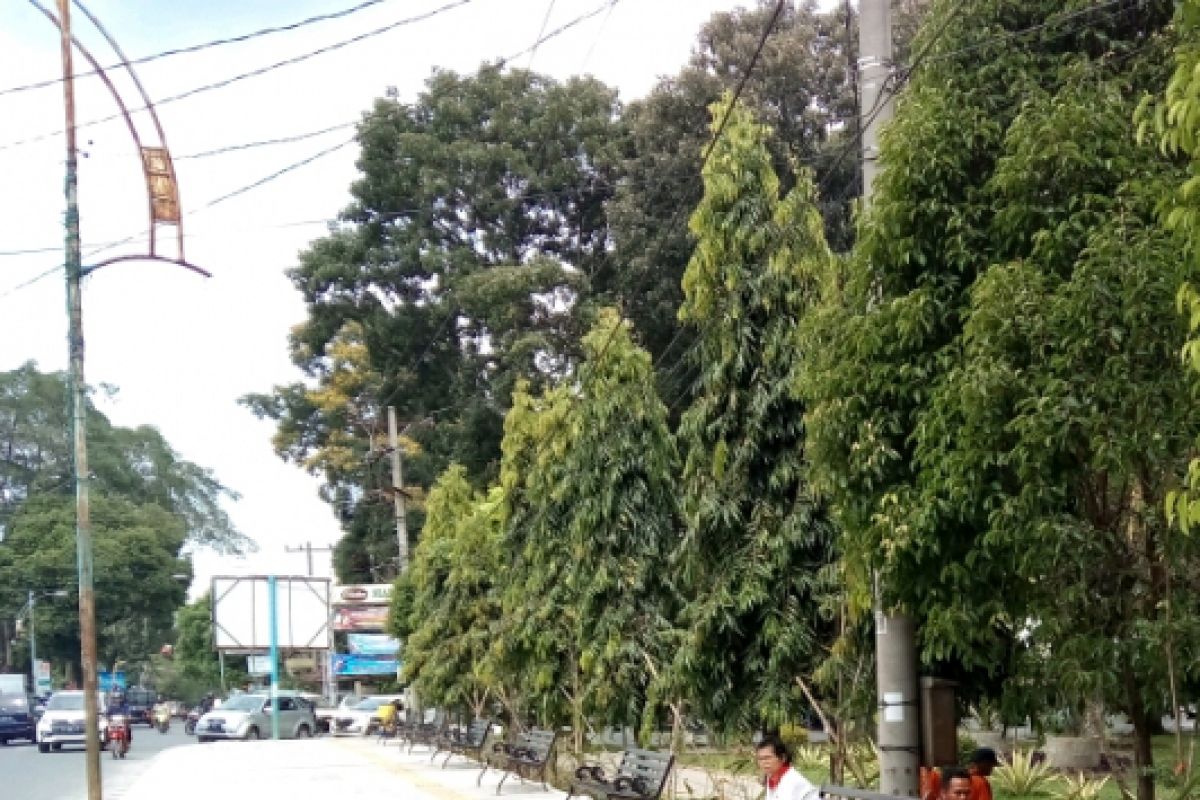 Taman bunga Pematangsiantar berbenah