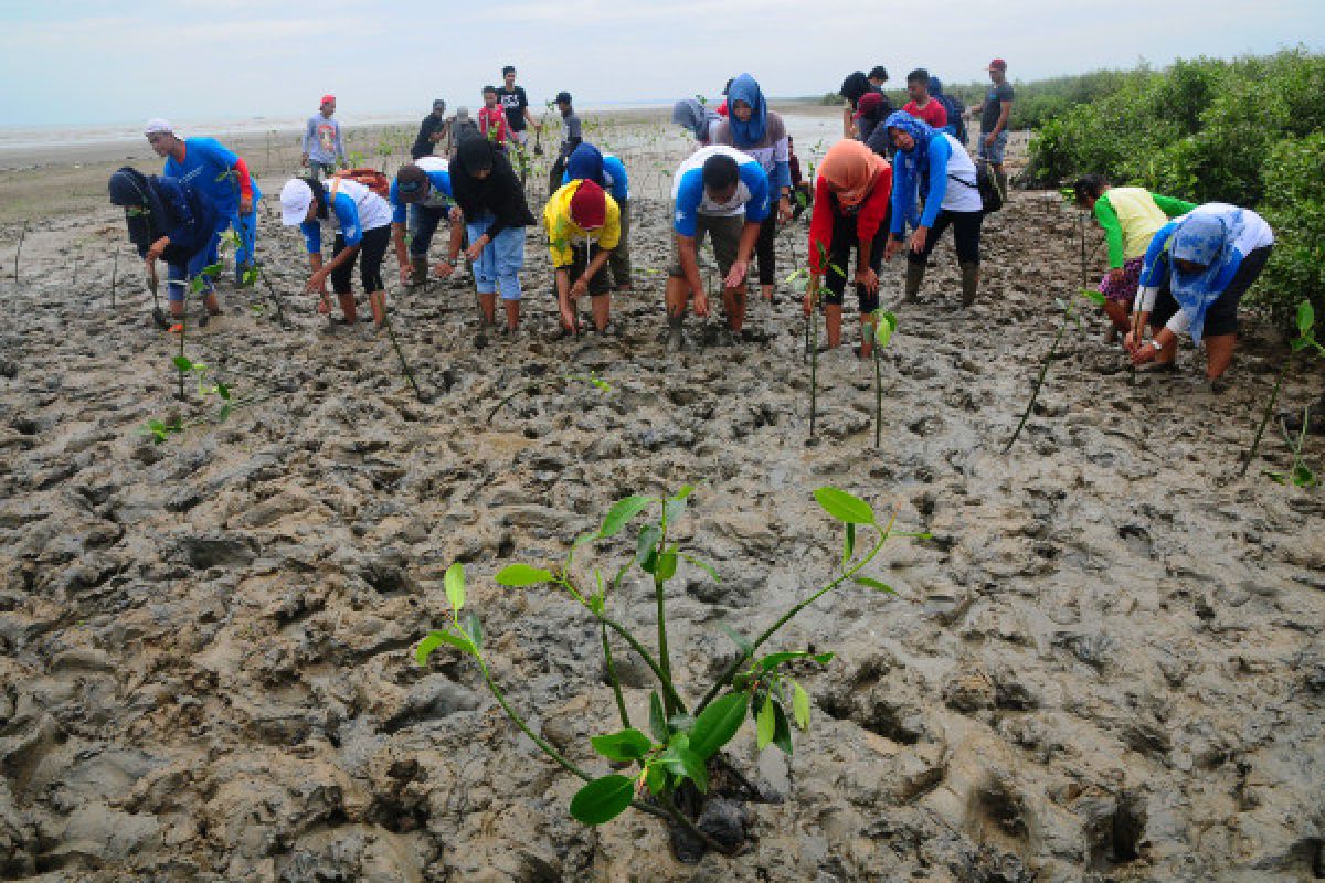 Pemberdayaan ekonomi pesisir efektif kurangi tingkat kemiskinan