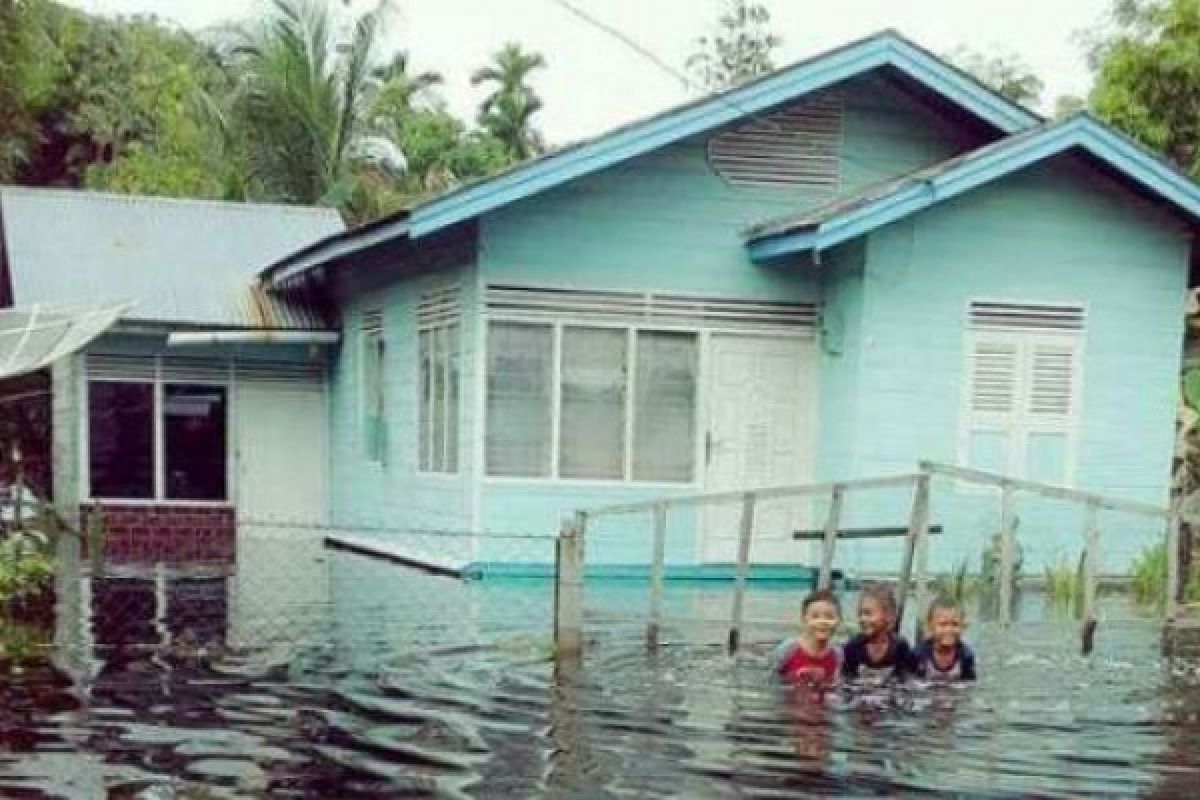 Banjir Akibat Air Laut Pasang Rendam Puluhan Rumah Di Bengkalis