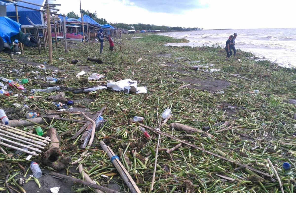 Pantai Tanjung Bayang Makassar Dipenuhi Enceng Gondok