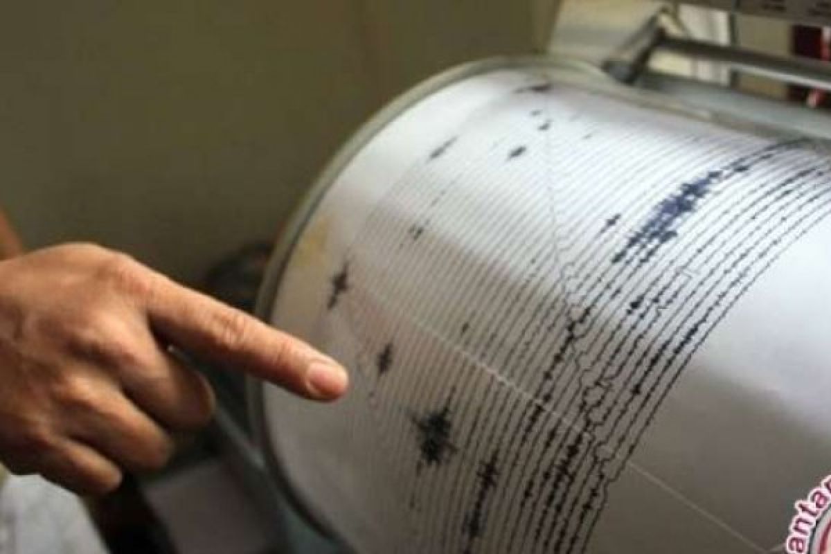 Papua Barat Diguncang Gempa 4,0 Skala Richter 