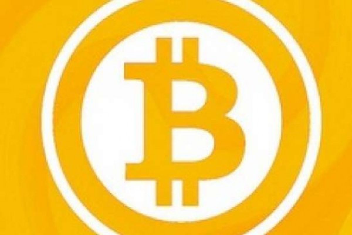 Pemerintah Diminta Gencarkan Sosialisasi Terkait Kerugian Investasi Bitcoin