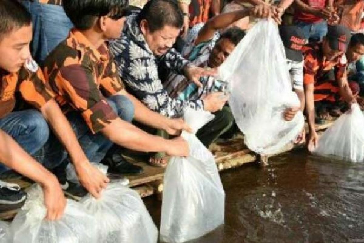 Pemkab Bengkalis Terima Bantuan 50.000 Bibit Ikan Baung Dari Pemprov