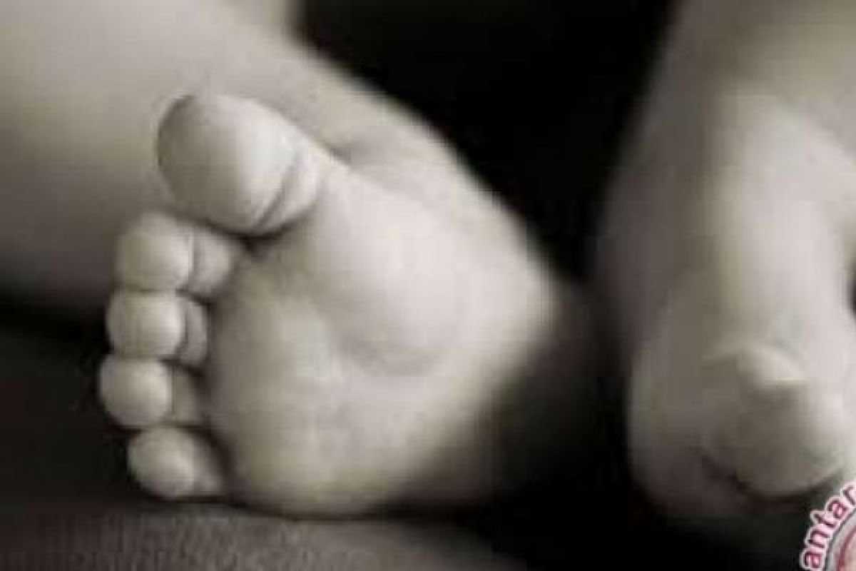 Polisi Masih Berupaya Ungkap Pelaku Pembuang Bayi Di Sungai Siak