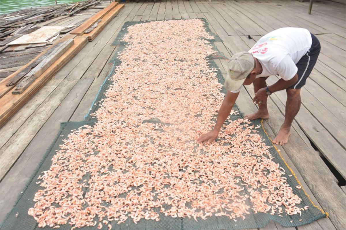 Udang kering Sungai Buluh tampung 20 karyawan