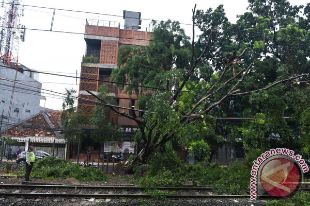 Pohon tumbang  hadang perjalanan kereta listrik