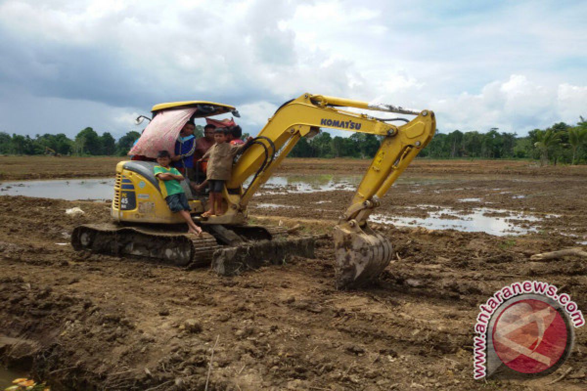 Kemarau, petani Bombana tunda tanam padi