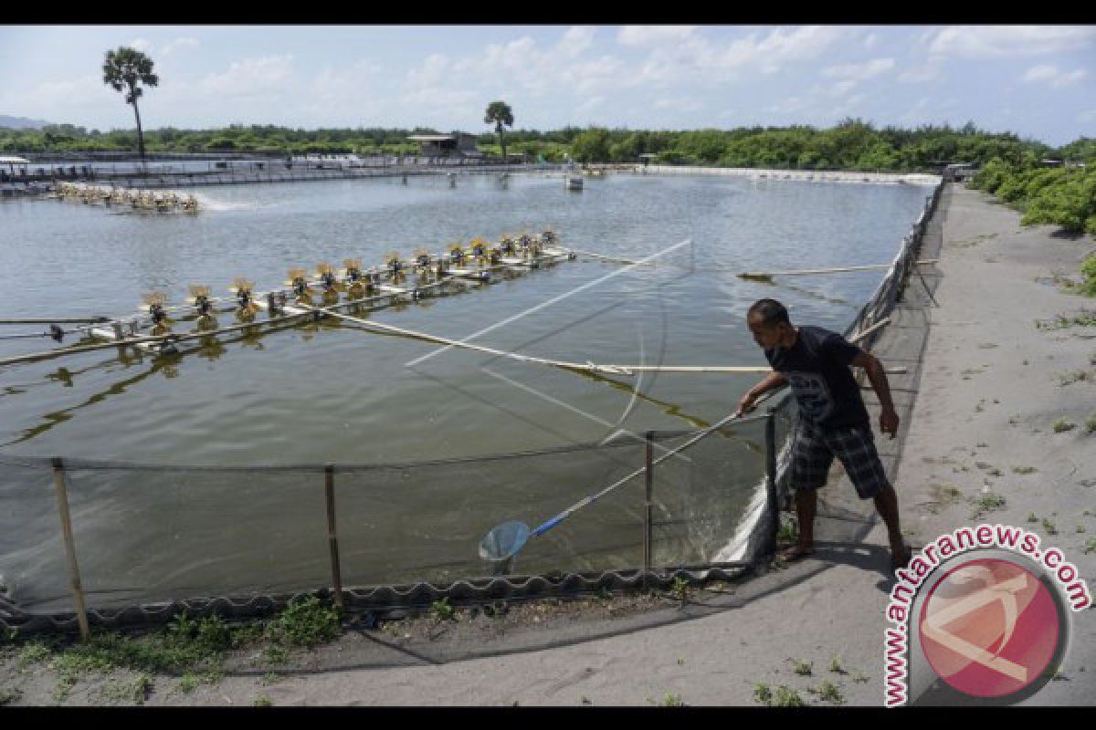 Konawe Utara Siapkan Lahan Tambak 3.000 Hektare 