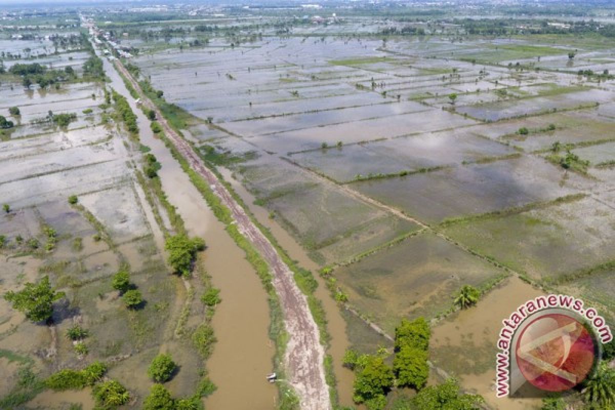 BPBD: waspadai luapan Sungai Komering