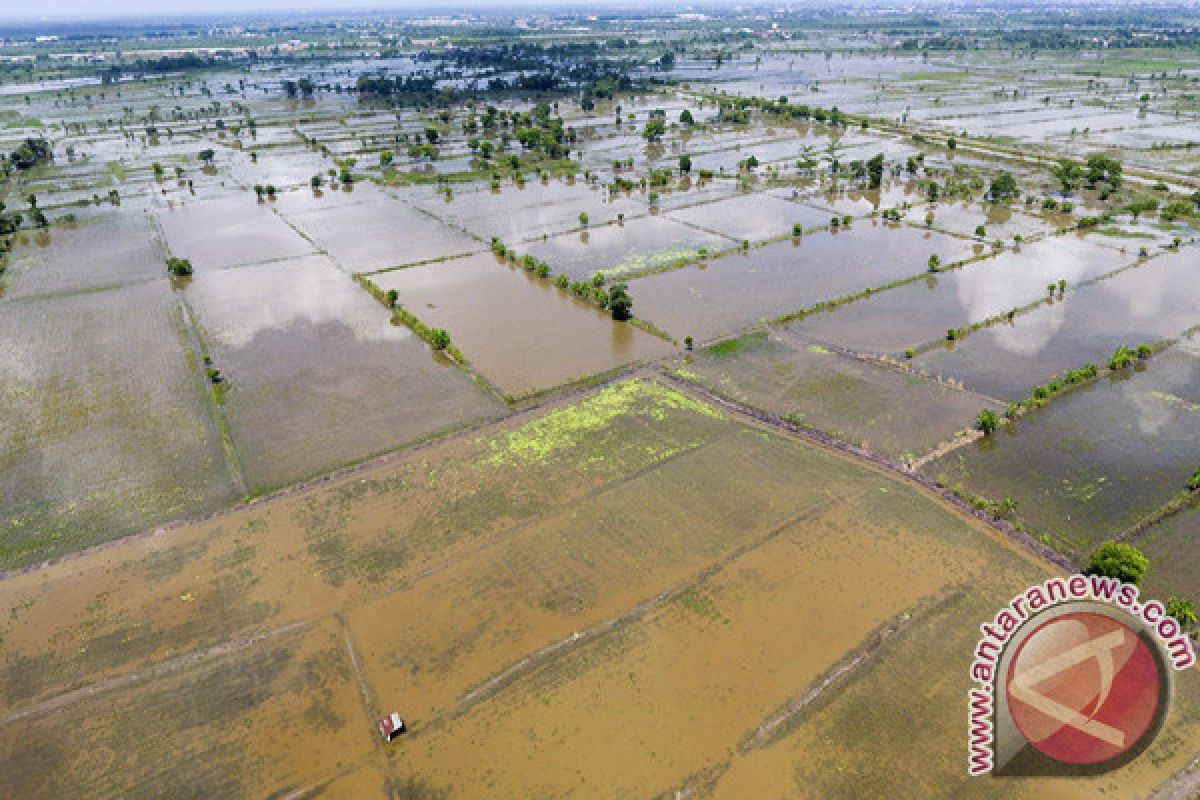 Banjir Aceh Utara semakin parah