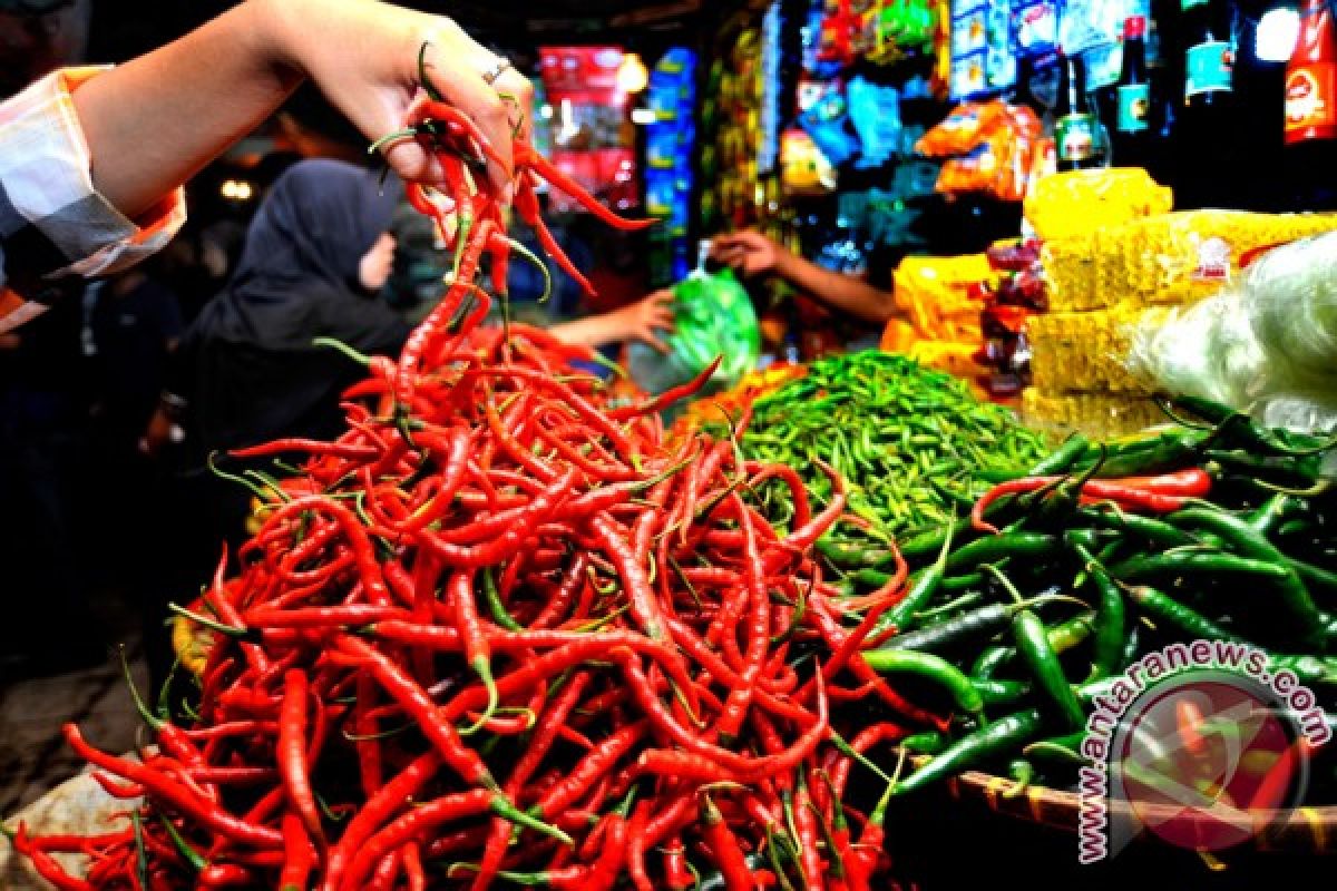 Makanan pedas bantu bakar kalori, redakan sakit