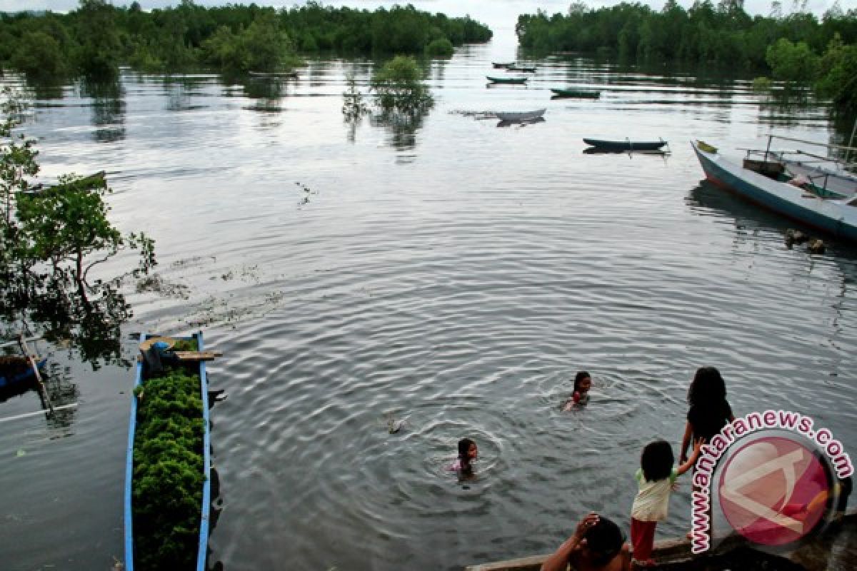 Komunitas mangrove studi banding di Teluk Tomini