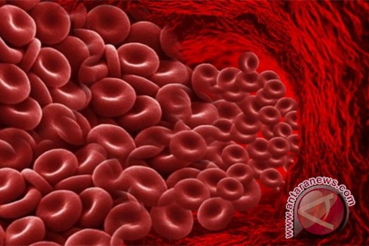 Peneliti IPB: Pengaruh Suplementasi Besi terhadap Hemoglobin Remaja Putri