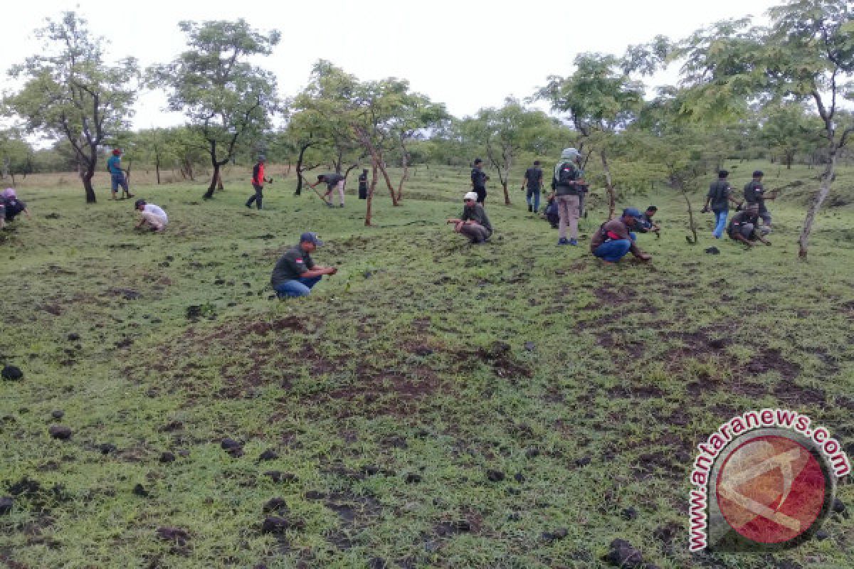 BTNT Programkan Pemulihan 200 Hektare Kawasan Tambora 