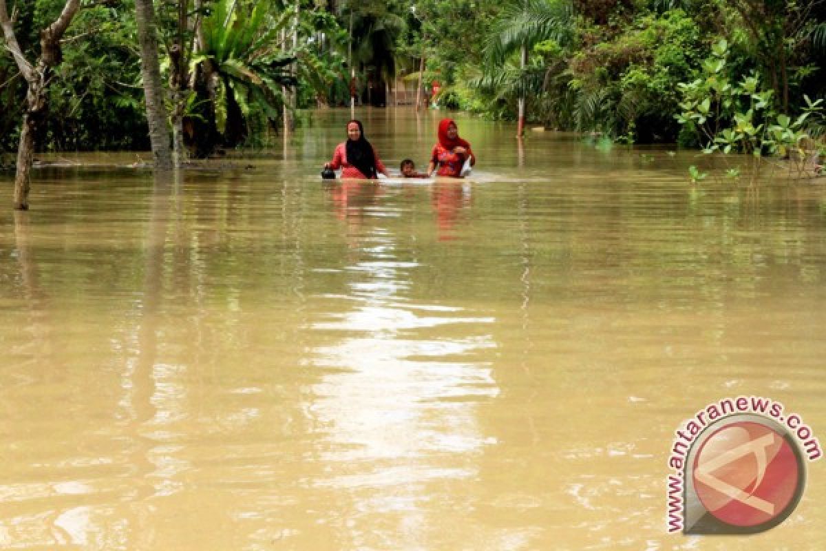 Banjir terjang 4 desa di Aceh Tamiang