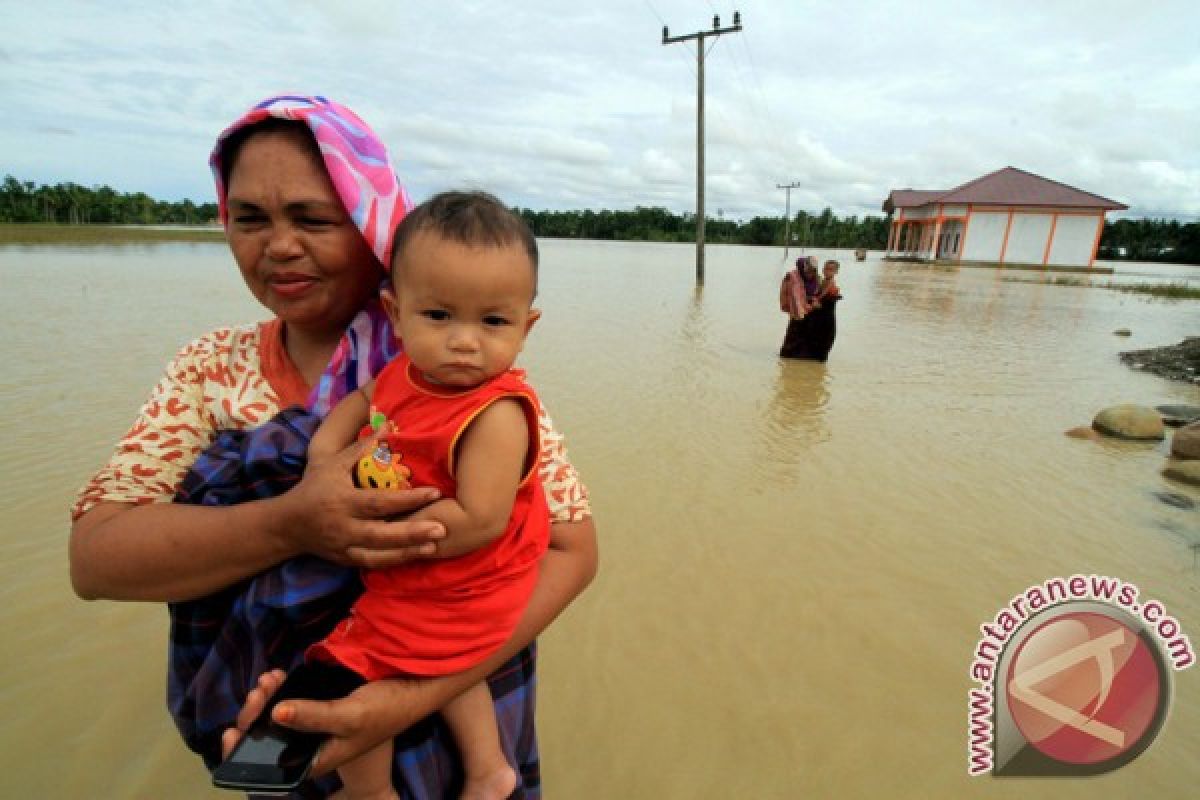 Lebih 4.000 orang di Aceh terdampak banjir bandang