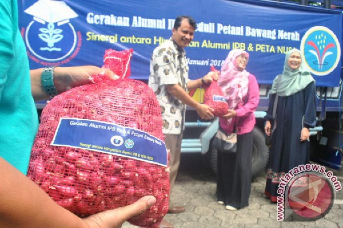 Bawang impor mulai banjiri pasar tradisional