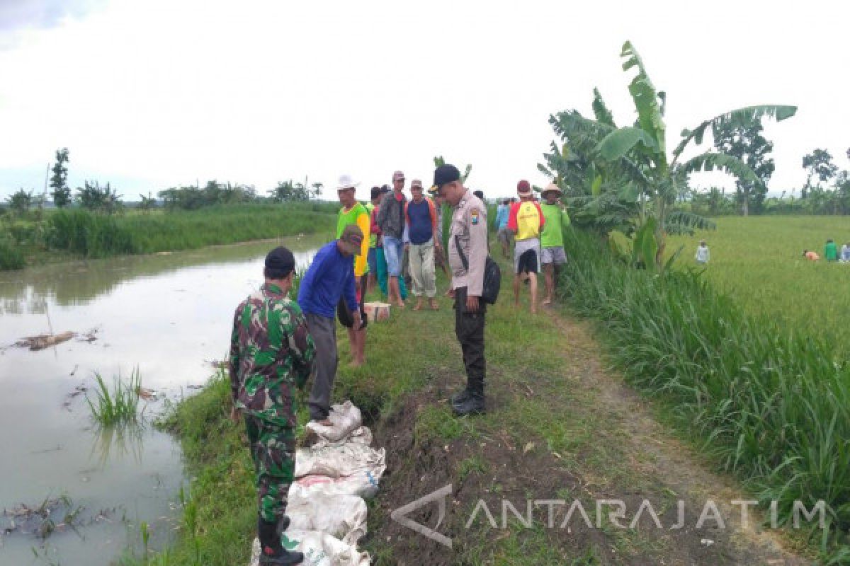 Bojonegoro Waspadai Kenaikan Air Bengawan Solo