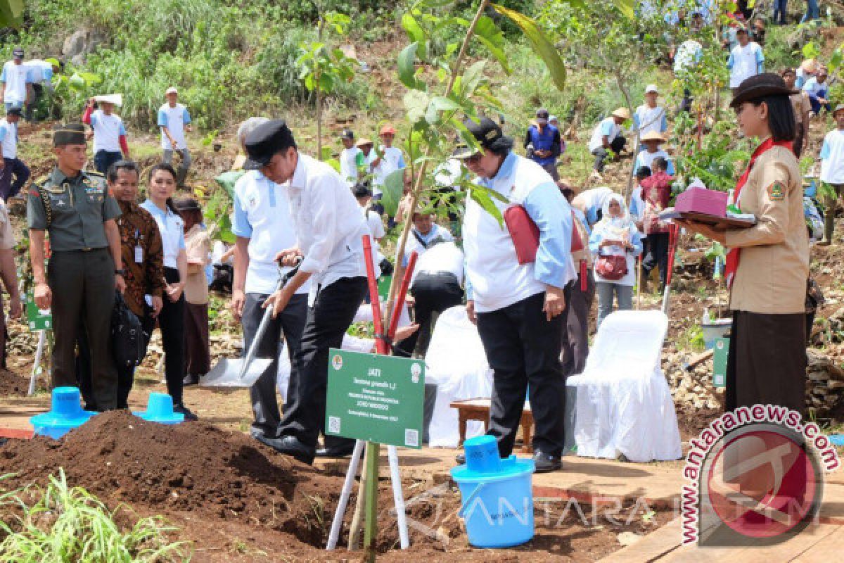 Perlunya Keajekan Gerakan Menanam Pohon