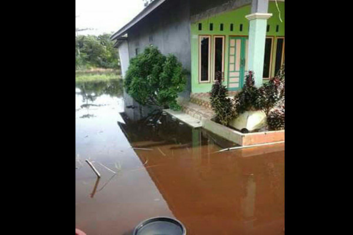 Tanggul Jebol, Perusahaan Pulpis Diminta Bantu Tangani Banjir