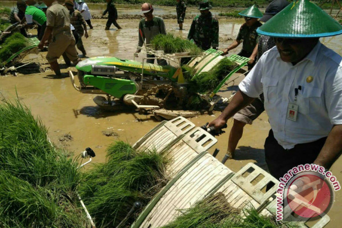 Papua Barat Targetkan 120.000 Ton Produksi Beras