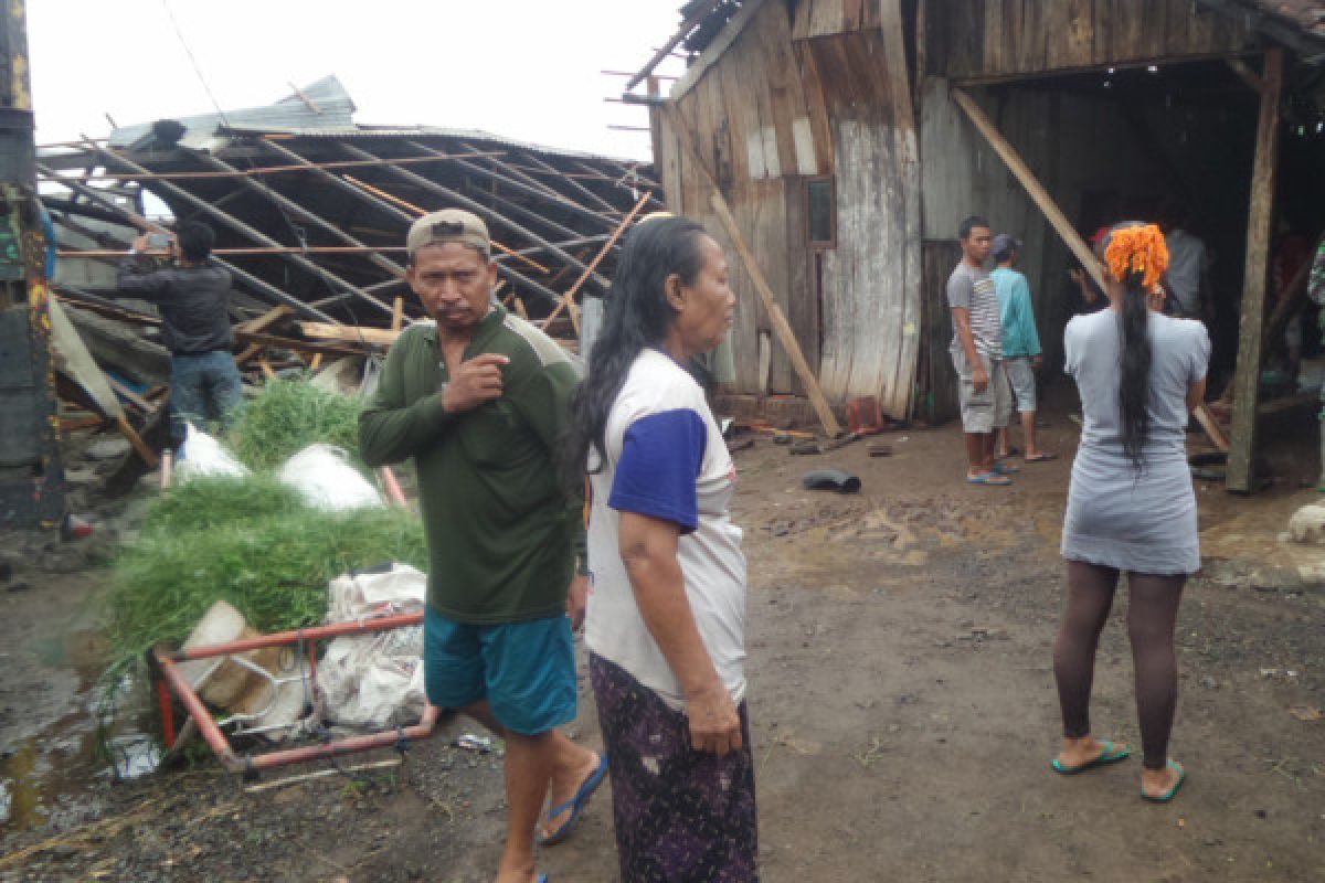 20 Rumah di Situbondo Rusak Diterjang Angin Puting Beliung