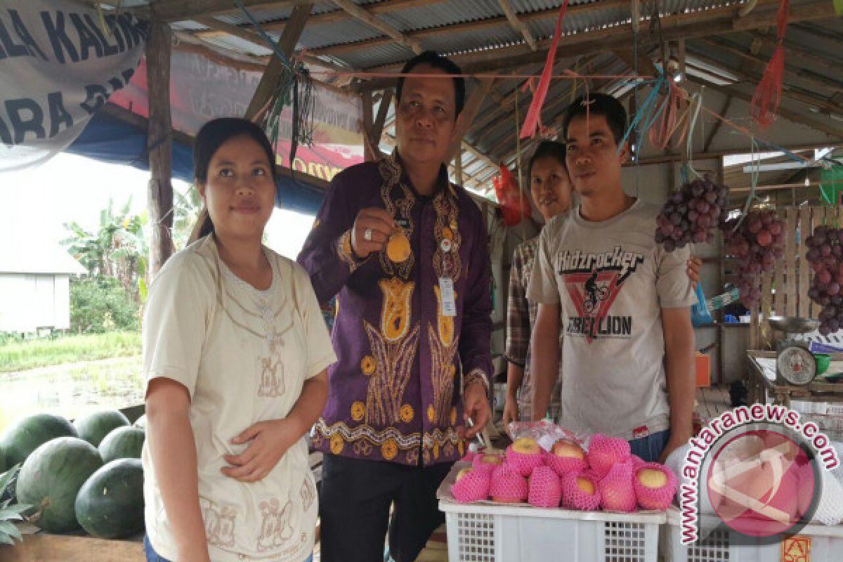 Gubernur Kalsel Ajak Warga Lestarikan Buah Lokal 