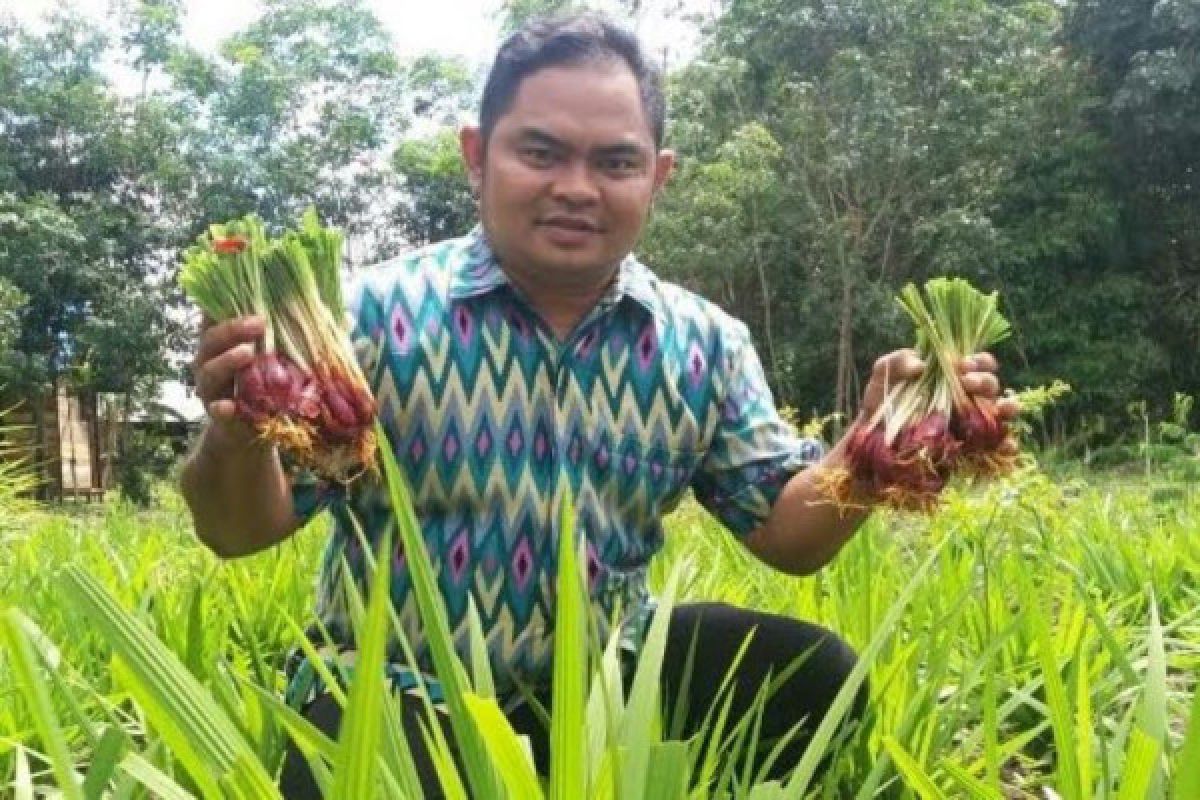 Petani Makin Tertarik Kembangkan Bawang Dayak, Karena Ini