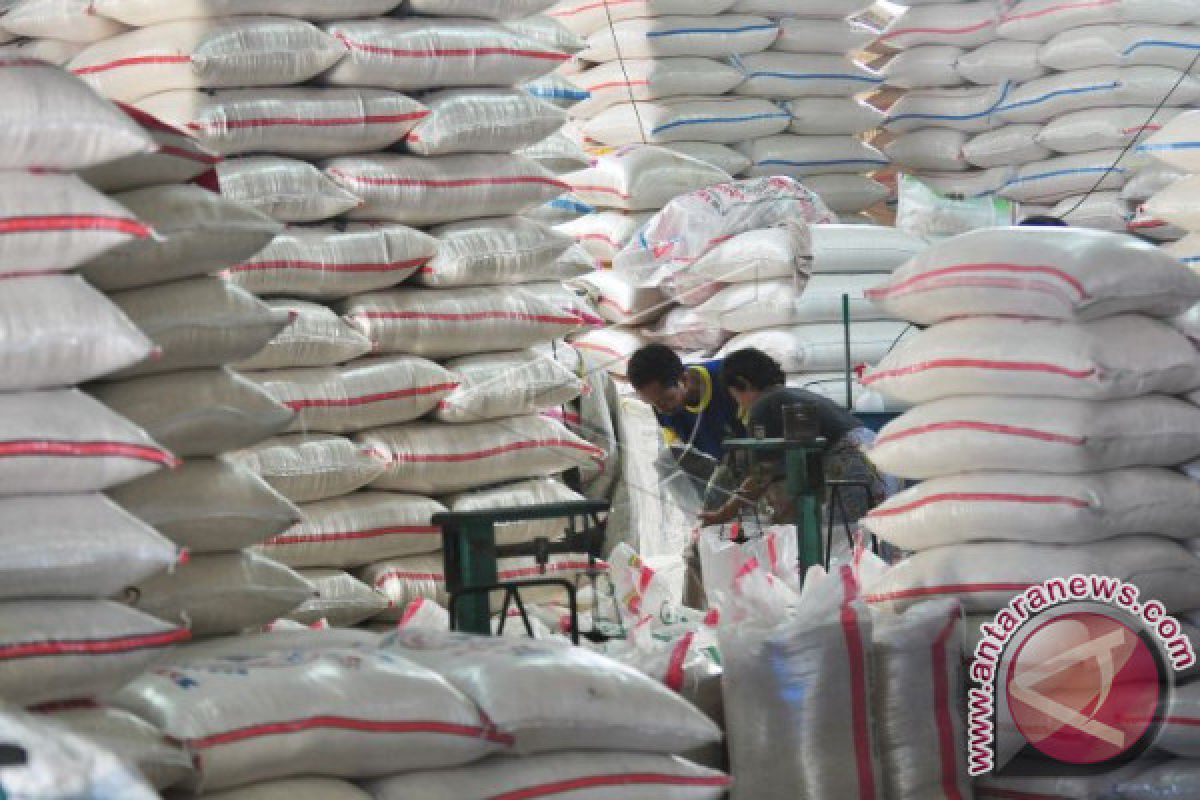 Govt opens rice import option