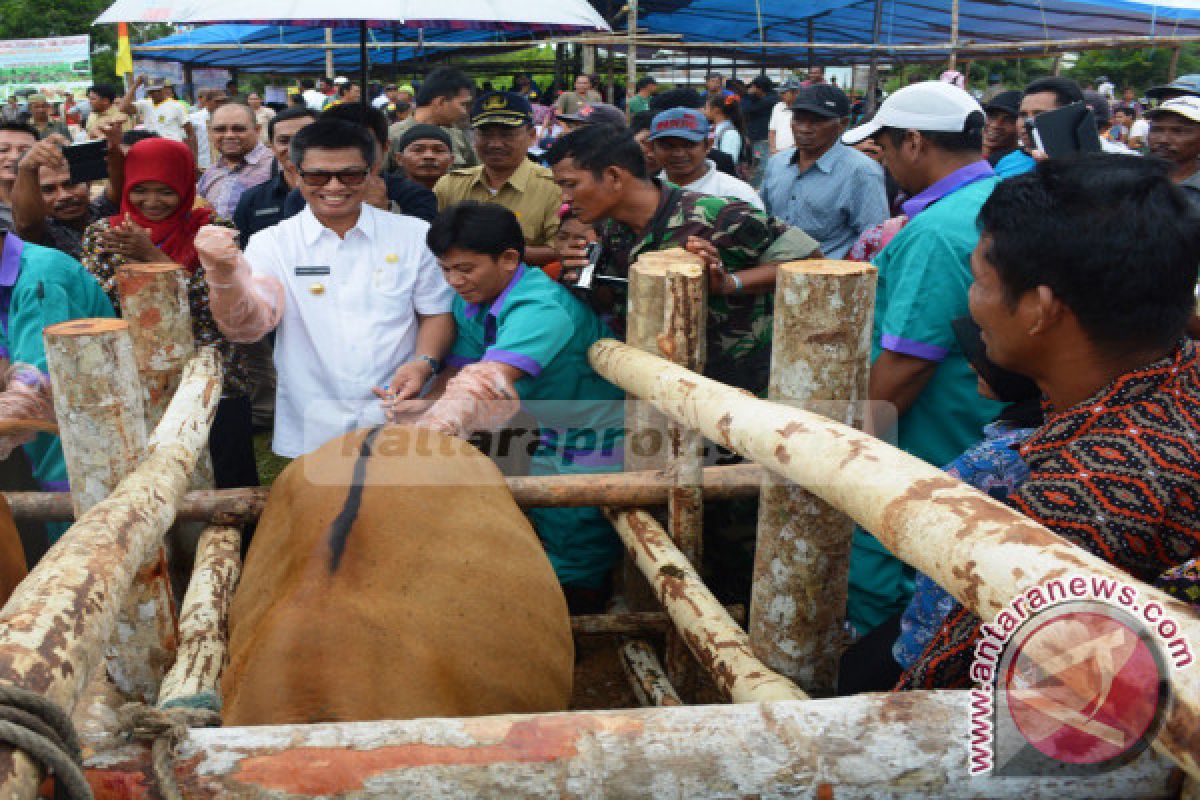 Pola Baru utk Program IB 2018 