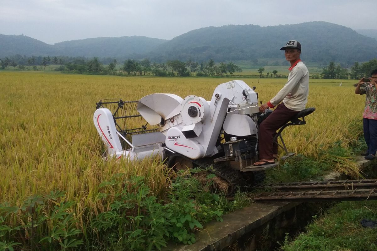 Produktivitas padi lahan tandus Paliyan 9,4 ton/hektare