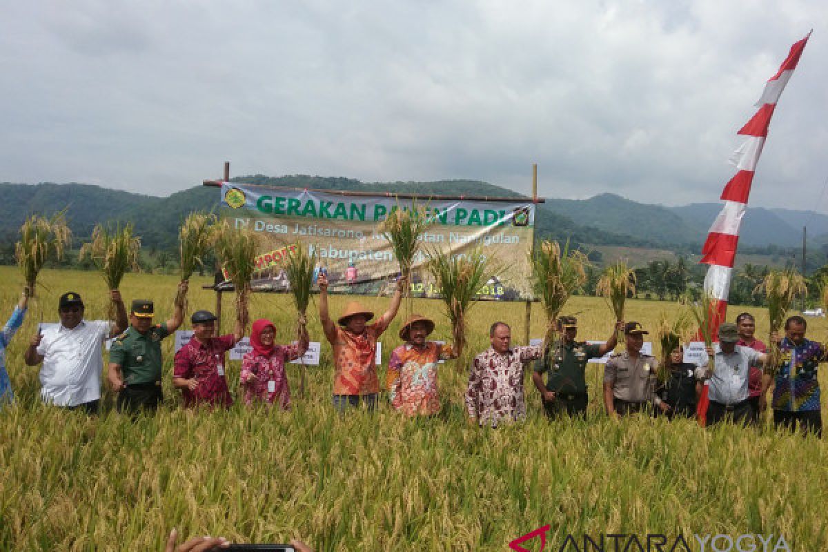 Kementan melakukan gerakan panen padi Kulon Progo