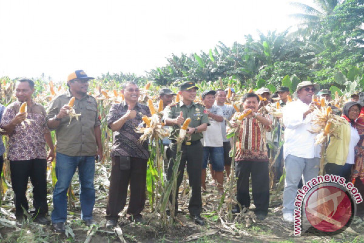 Kodim gandeng Distan kembangkan jagung