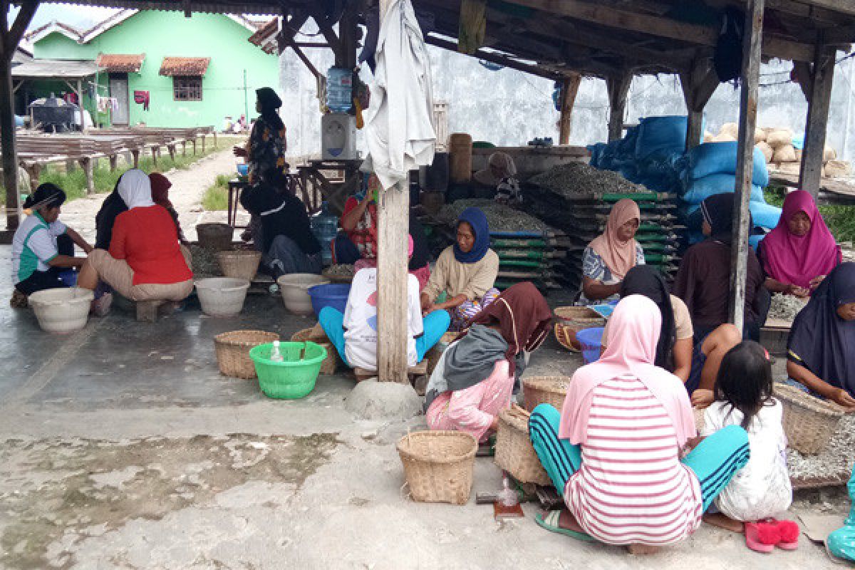 Produksi teri Pulau Pasaran anjlok