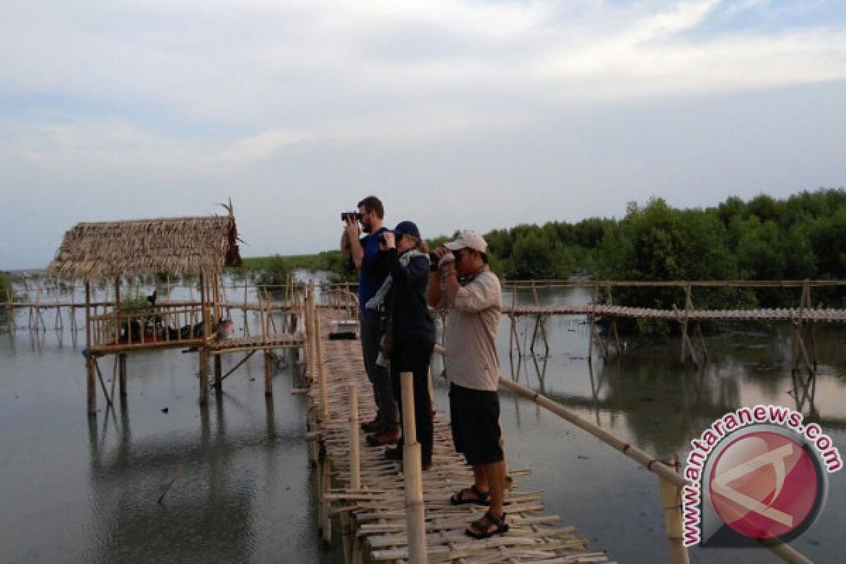 Puluhan wisatawan asing kunjungi hutan mangrove Lampung Timur