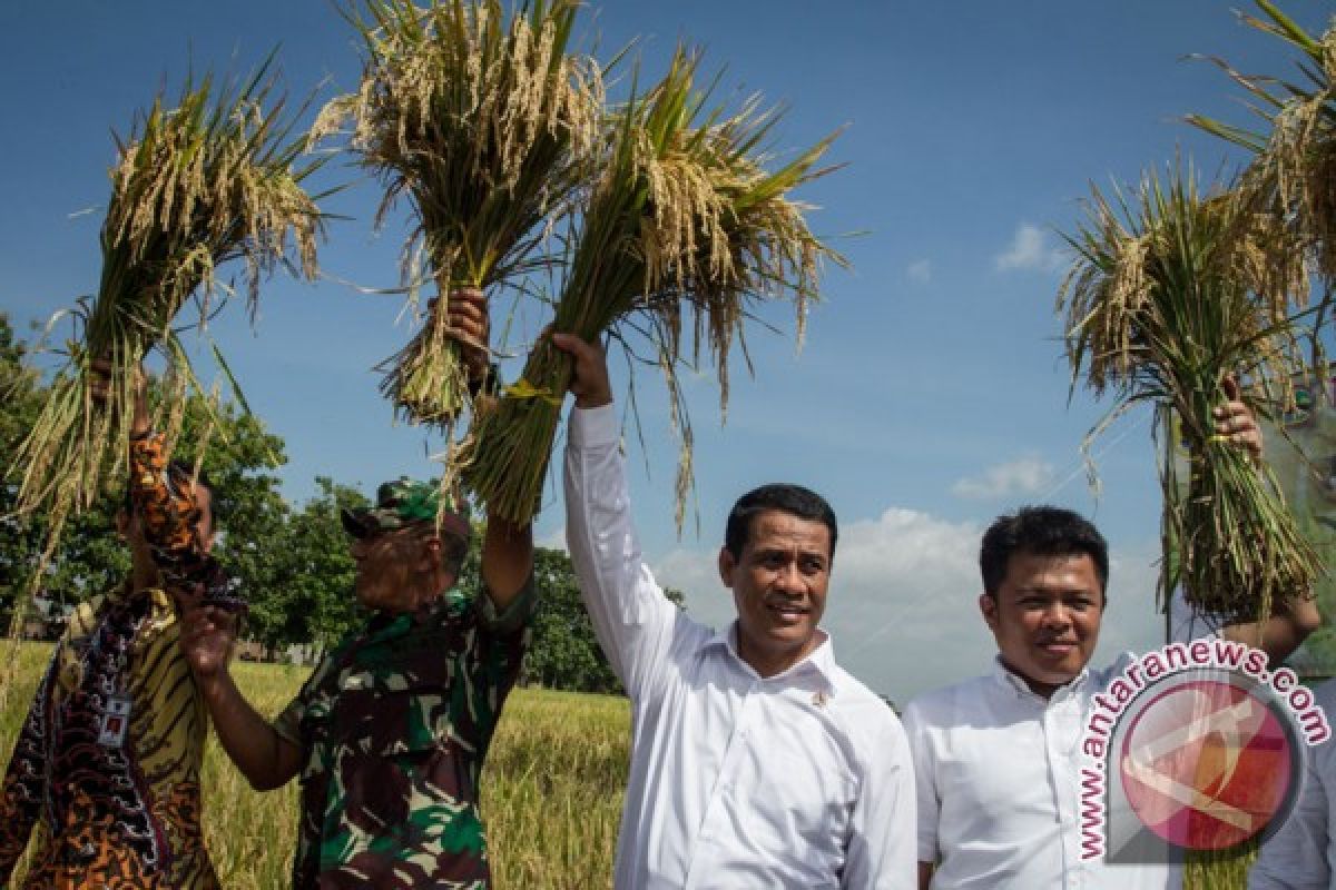 Agriculture ministry encourages farmers to accelerate rice planting period