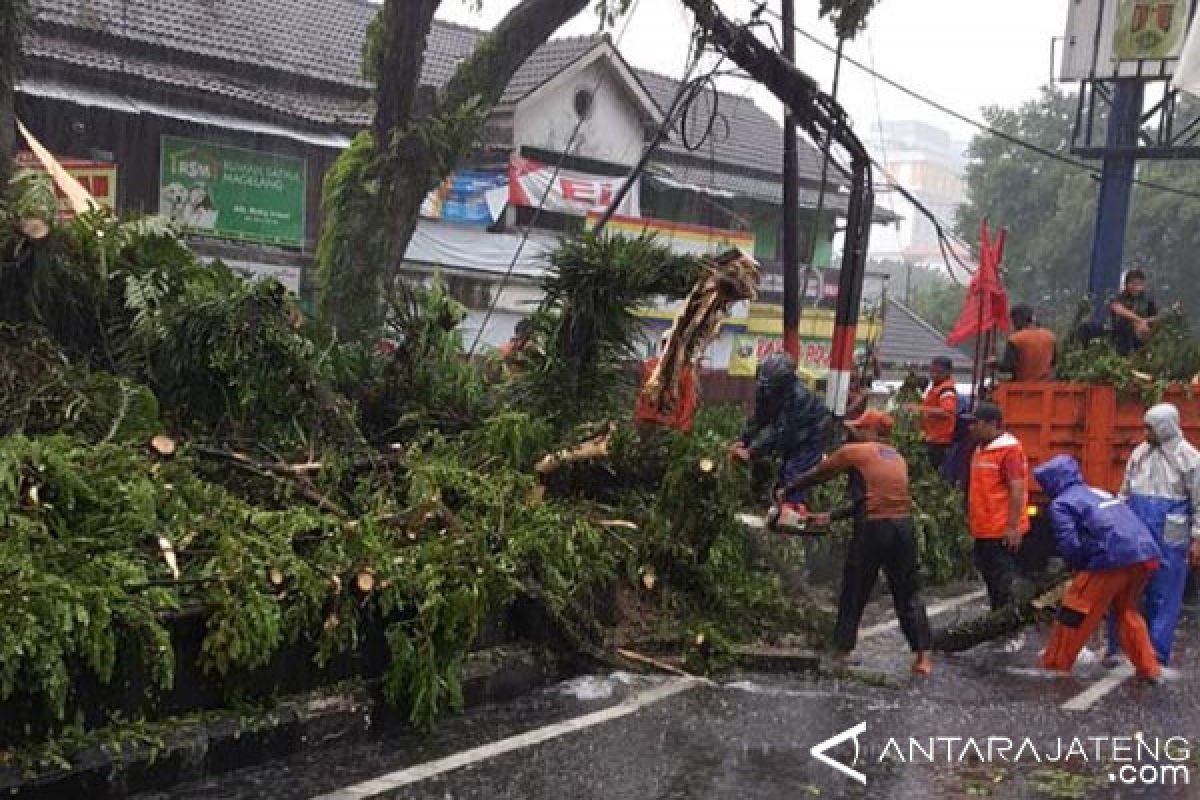 Awas, hujan lebat disertai angin kencang berpotensi melanda Jateng