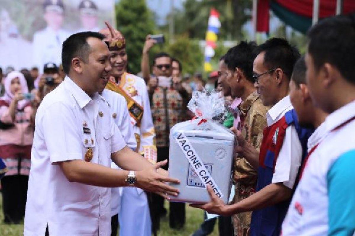 Kondisi Jalan Suoh ke Liwa Mulus