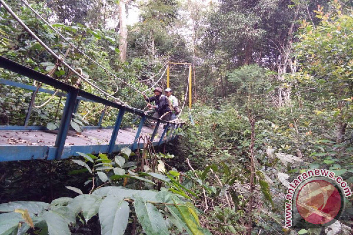 FKH Ingin Kebun Raya Balangan Ikon Hutan Kalimantan