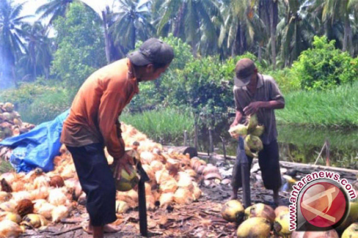 Distan programkan penanganan pascapanen kelapa