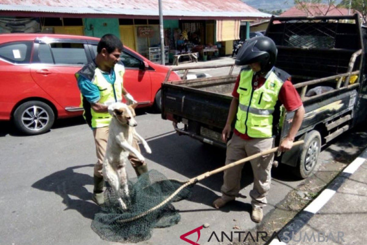 Warga Solok Selatan tertular rabies dirujuk ke Singapura